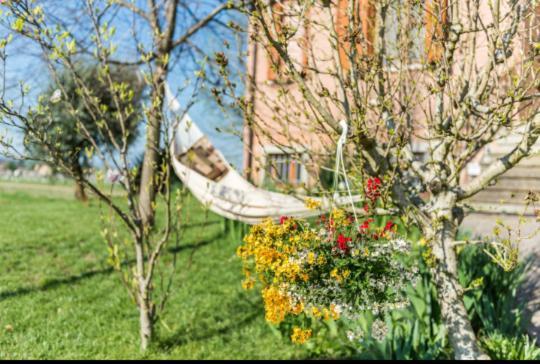 B&B Il Roseto Spilamberto Eksteriør billede
